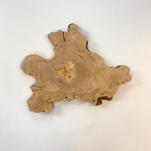 Live Edge Olive Wood Slab: Natural Tree Slice (19&quot;x14&quot;x1.2&quot;)