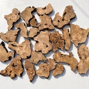 May include: A collection of natural wood slices, each with unique grain patterns and shapes. The wood is a light brown color and has a rustic, organic feel.