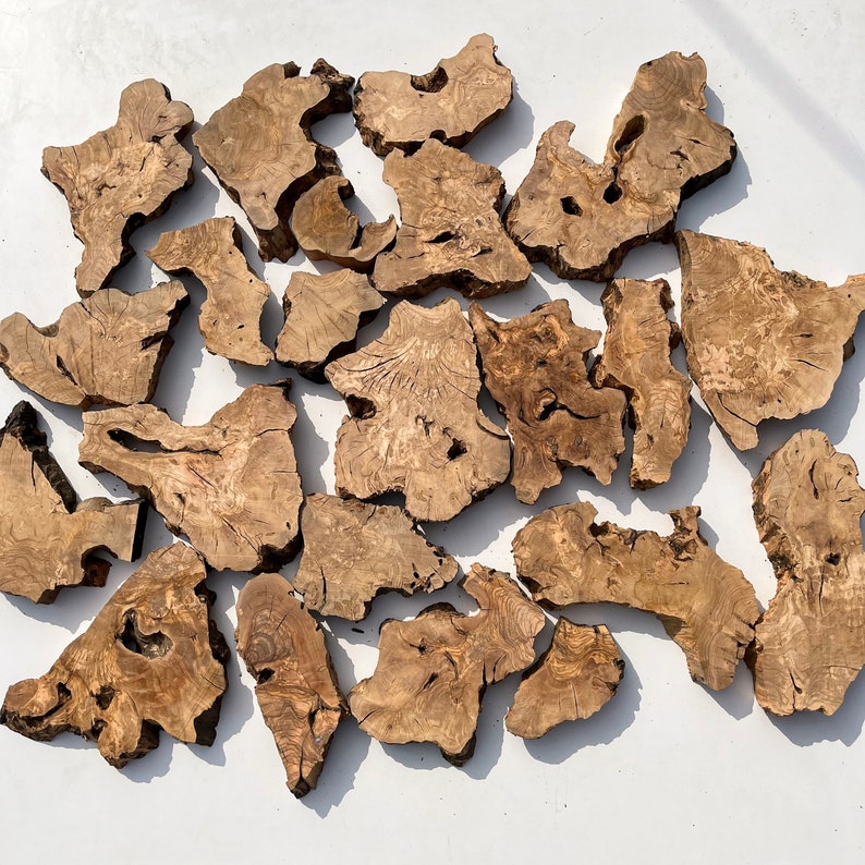 May include: A collection of natural wood slices, each with unique grain patterns and shapes. The wood is a light brown color and has a rustic, organic feel.