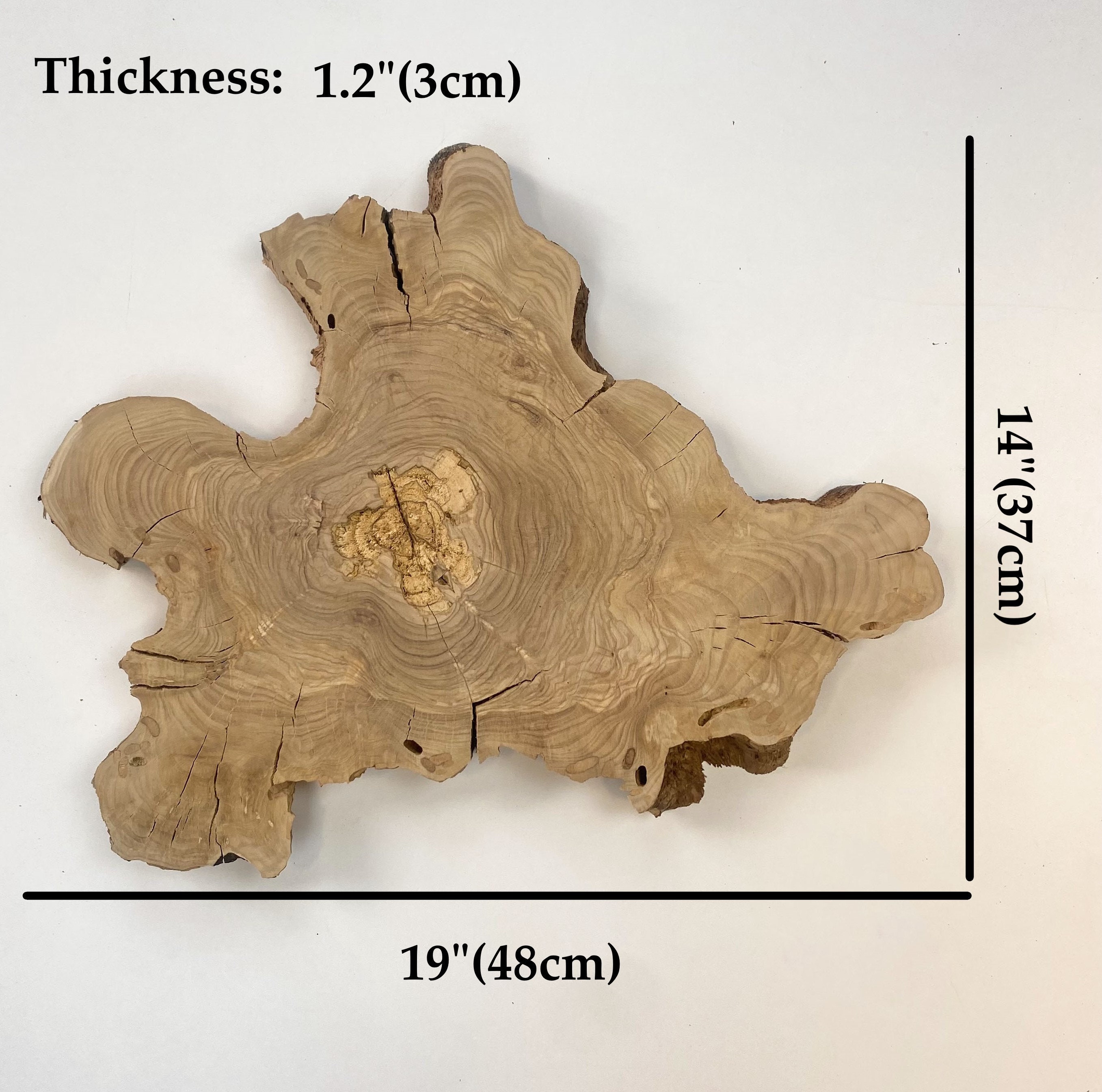 Live Edge Tree Rings Live Edge Olive Wood Slab: Natural Tree Slice (19