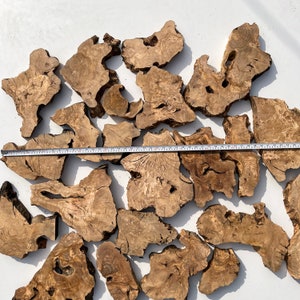 May include: A collection of natural wood slices, each with unique grain patterns and textures. The wood is a light brown color and has a rustic, organic feel. The slices are arranged in a random pattern on a white surface.