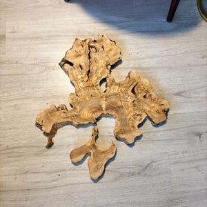 29&quot;x28&quot; Turkish Olive Wood Slab: Live Edge Burl Wood