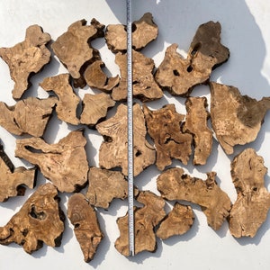 May include: A collection of natural wood slices, varying in size and shape, with a rustic brown color and intricate grain patterns. The wood slices are arranged on a white surface.