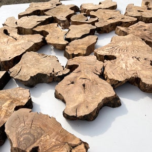 May include: A collection of natural wood slices, each with unique grain patterns and textures. The slices are various sizes and shapes, with a light brown color and a rough, unfinished surface.
