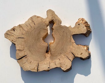 Live Edge Olive Wood Slab: Epoxy Resin Wood Slice (23"x16"x1.6")