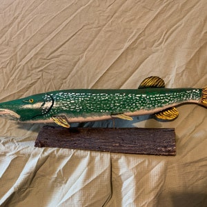 25 “ Northern Pike