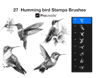 27 Hummingbird Procreate Stamps Brushes (Digital Download)