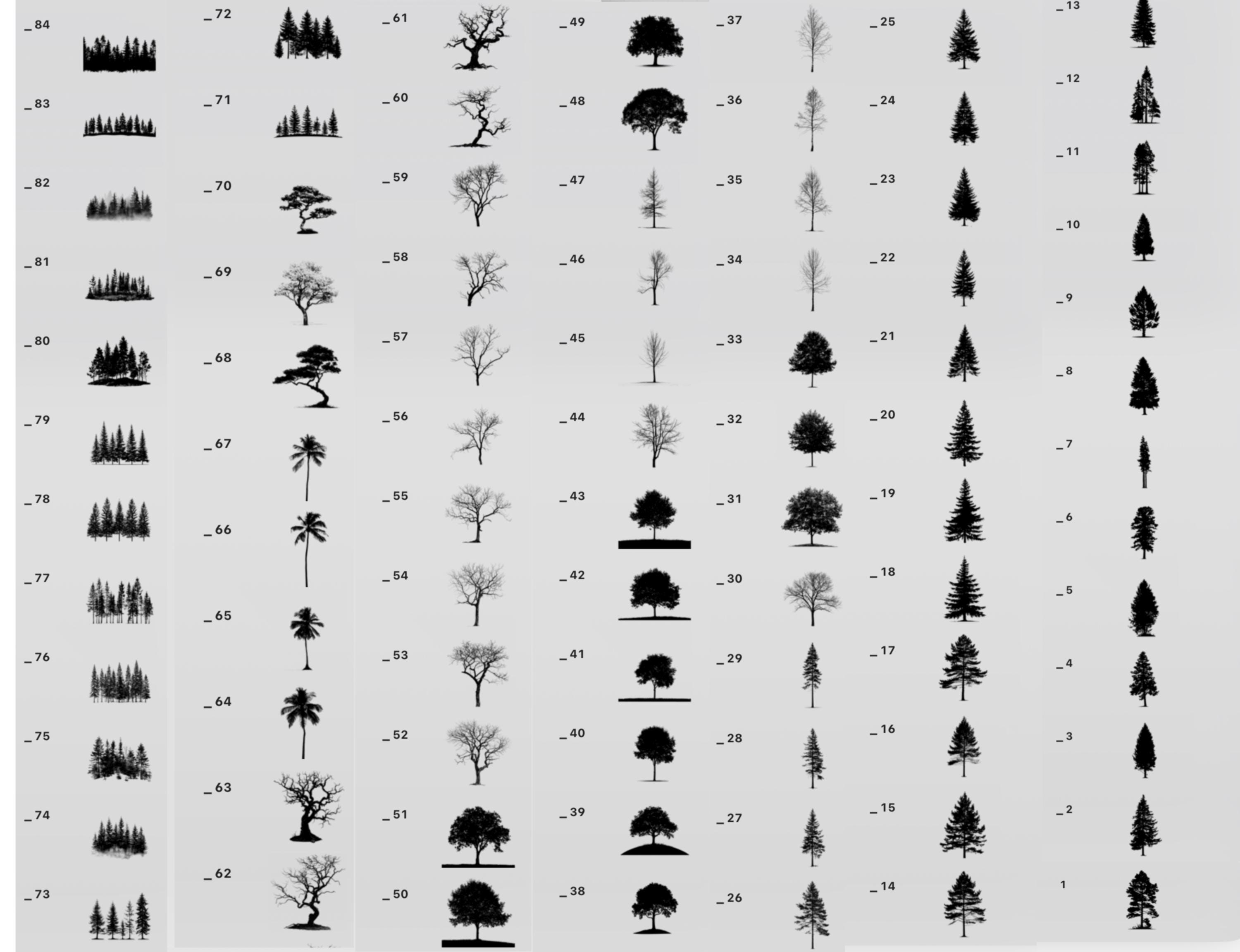 Forest Tree Silhouette Brushes & Stamps for Procreate – Border Nature ...