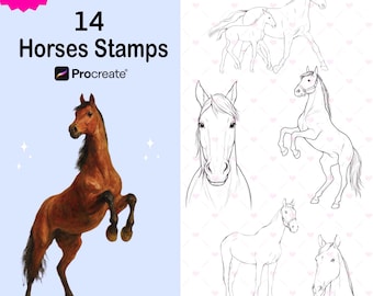 Horse Procreate Stamps Brushes, Sketch Animal Brush Set