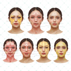 Facial Anatomy Bundle | Botox & Filler Injector | Anatomy | Esthetician | Aesthetics | Dermatology | Medspa| Digital Download
