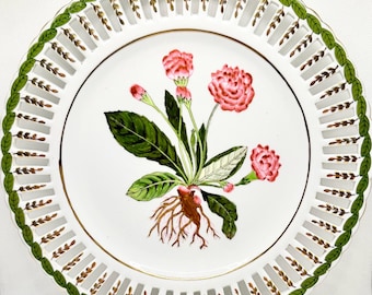 Devonshire 10" Laced Plate with Pink Rose Botanical, Pierced Rim Wall Decor