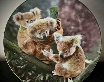 Vintage Royal Doulton "Koala Bears" 10.5" Collector Plate - Australian Views D6424