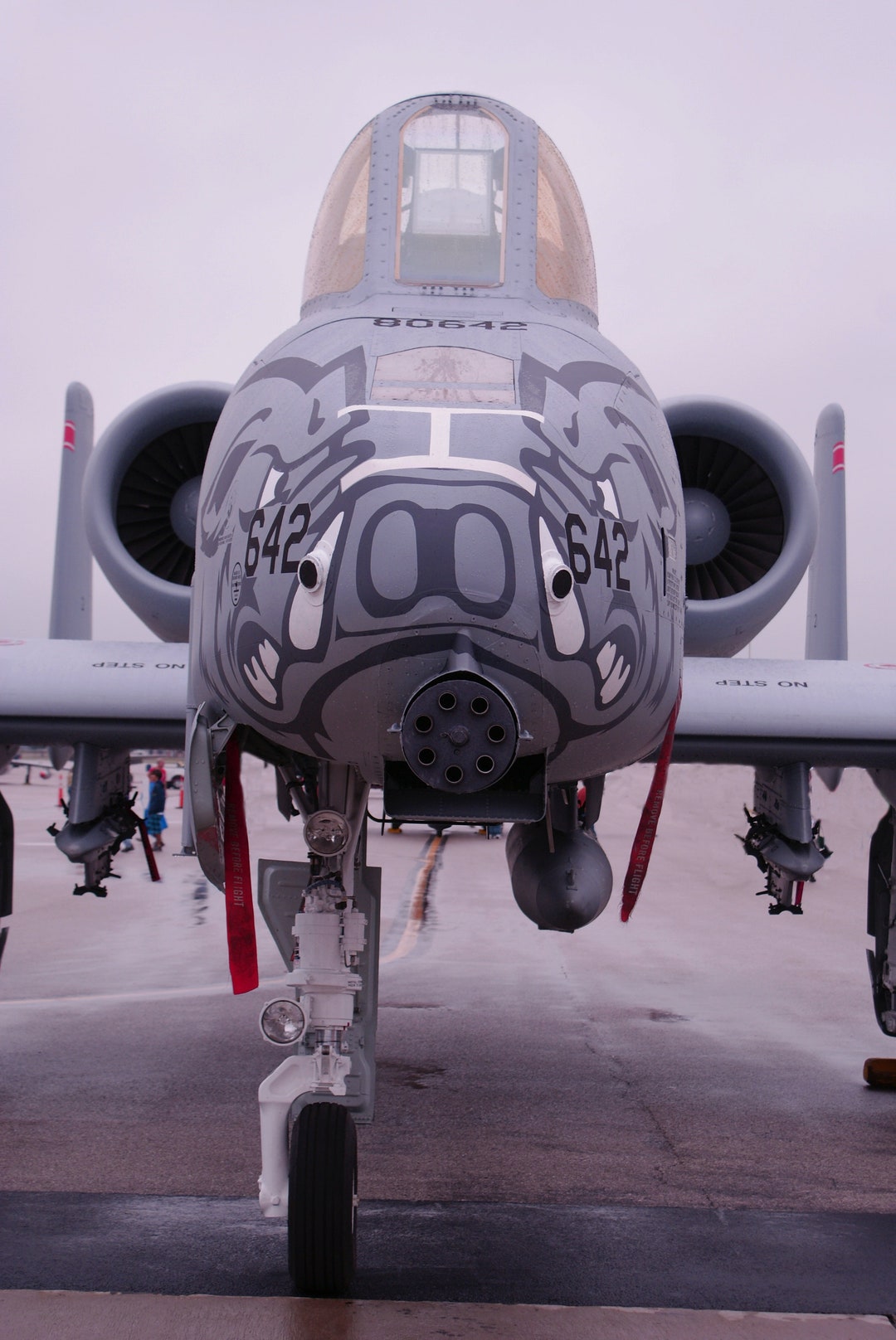 The A-10 Warthog Gatling Gun 18x24 Thin Framed Canvas Print - Etsy