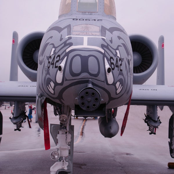A10 Warthog - Etsy