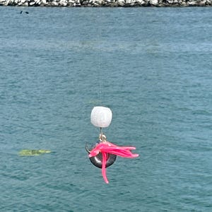 paintable fishing bobber
