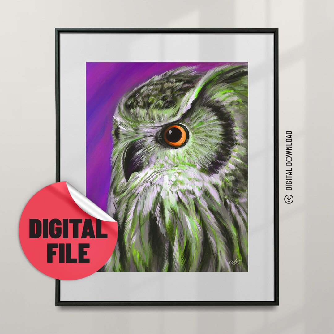 Colorful Owl Picture Printable Art Owl Room Decor From Painting ...