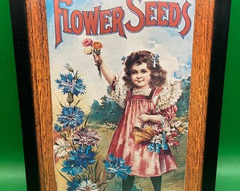 Ferry-Morse Seed Company (4) Different Framed Posters