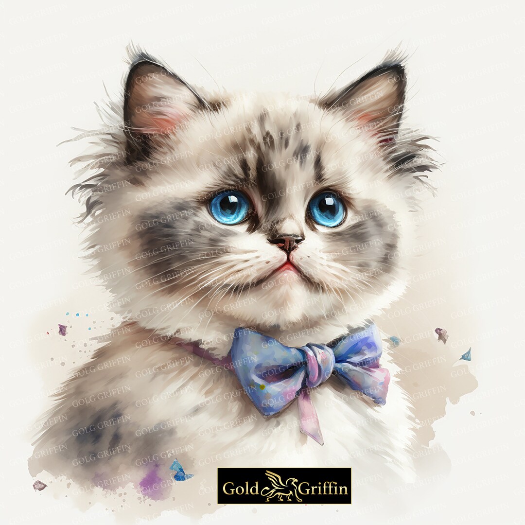 Watercolor Beautiful Cute Ragdoll Kitten, Watercolor Cute Ragdoll