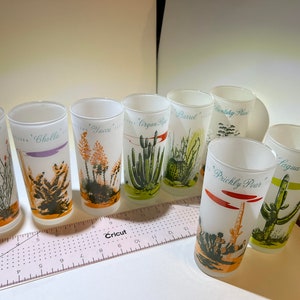 Vintage Blakely Arizona Cactus Tall Tumblers - Full set of 8 (ORIGINAL BOX - RARE)