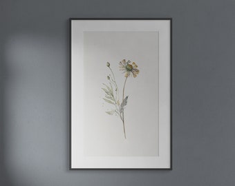 Study of Wildflowers - Museum Quality Print