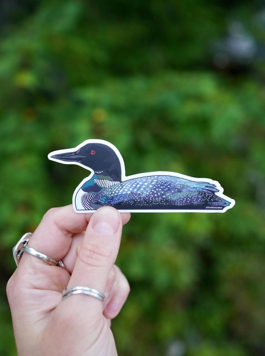 Common Loon - Waterproof Vinyl Sticker - Bird Watercolor Loon Sticker ...