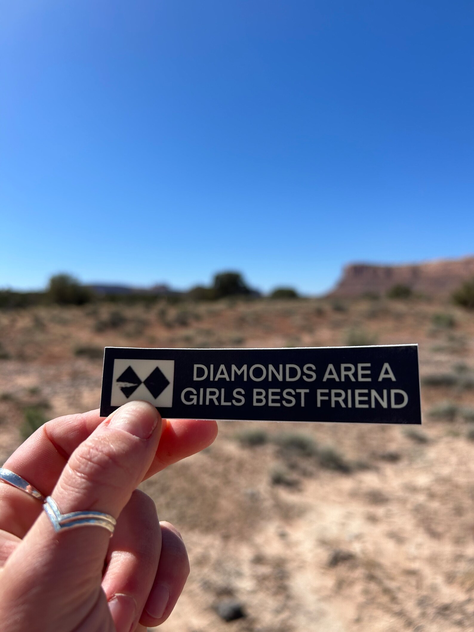 Diamonds Are a Girls Best Friend Vinyl Sticker Waterproof Funny Ski