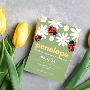 Cute Ladybug/Daisy Birthday Invitation - 5x7 - Digital Download - Customizable