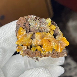 Puede incluir: Primer plano de un espécimen mineral con vibrantes cristales de wulfenita naranja. Los cristales están agrupados sobre una matriz de roca marrón oscura. El espécimen se exhibe sobre un soporte transparente, mostrando el color y la forma del mineral.