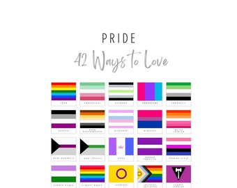 Pride Flags Poster (with meanings) &quot;42 Ways to Love&quot;