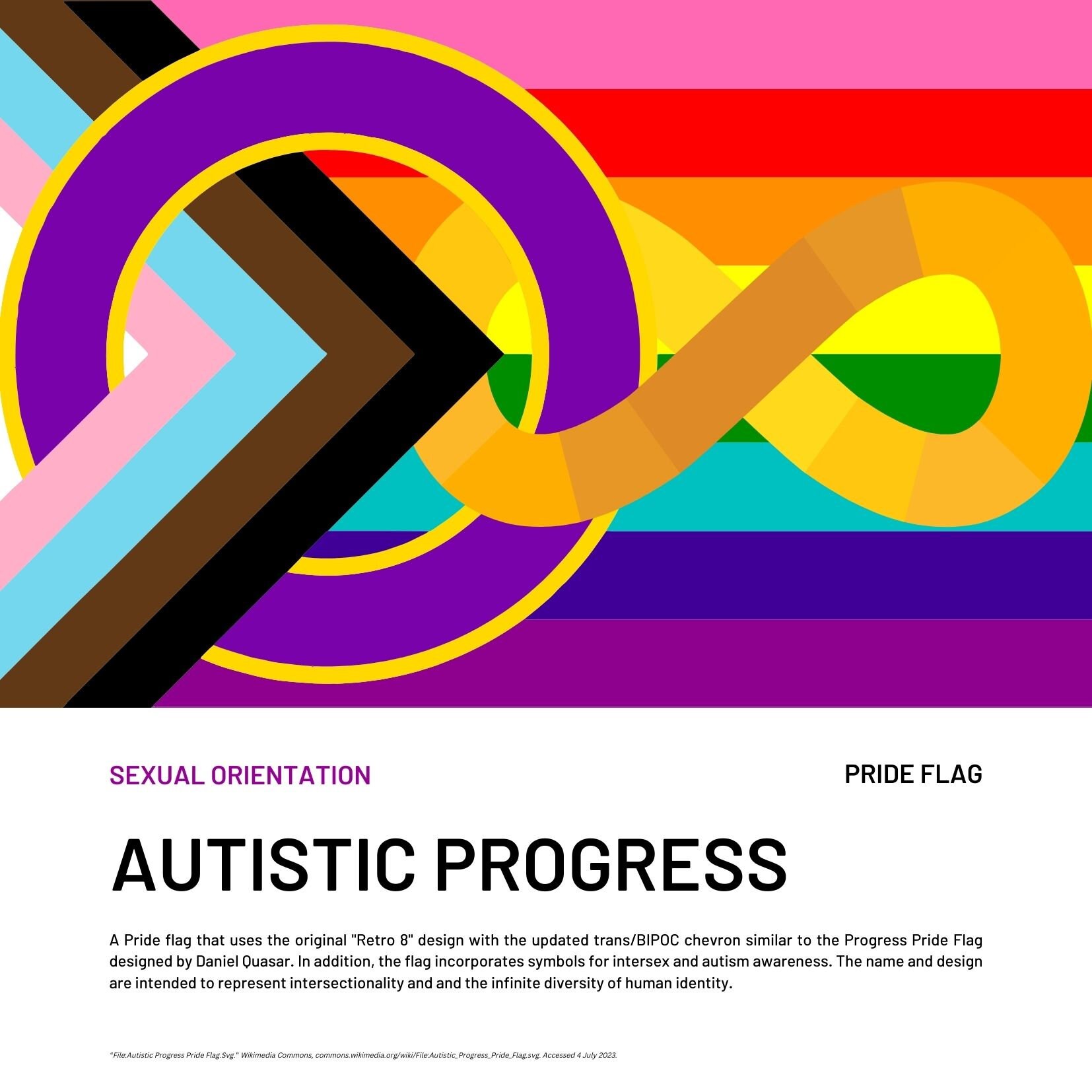 115 Square Pride Flag Poster Cards (with flag meanings and descriptions)  Print to any size - Digital Download PDF