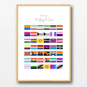 Pride Poster - 42 Ways to Love - Pride Flags and Their Meanings