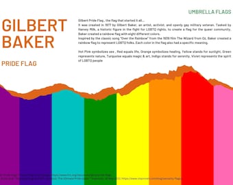 41 Pride Flag Poster Cards (with meanings and descriptions)