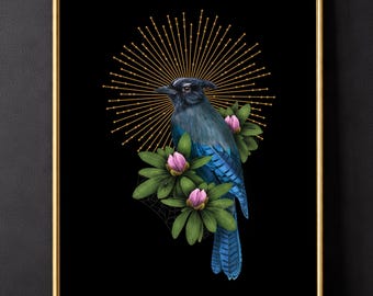 Steller's Jay Dark Academia Moody Art Bird Hag