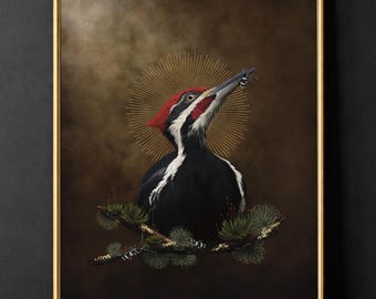 Pileated Woodpecker Dark Botanical Academia Moody Bird Hag
