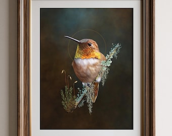 May include: A framed wall art print featuring a detailed illustration of a hummingbird with orange and yellow throat feathers perched on a mossy branch. The bird is set against a dark, moody background with a thin gold circular halo behind its head.