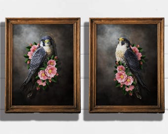 Peregrine Falcon Moody Wild Roses Print  Bird Wall Art