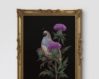 Quail Bird Art Milk Thistle California quail moody purple witchy bird hag