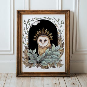 Barn Owl Bird Art Albino Rat Fantasy Audubon bird lover gift bird hag