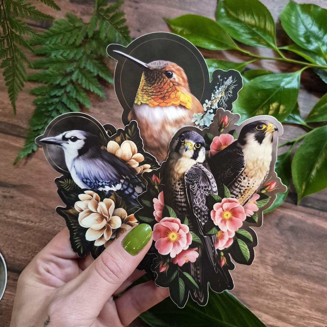 Three Pack Bird Stickers | Vinyl Dark Moody, Witchy Bird Art Bird Hag ...