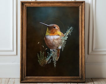 Rufous Hummingbird Dark Academia Moody Cottage Core