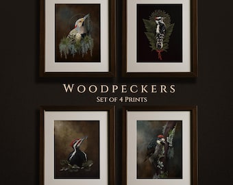 Woodpeckers, set of four illustrations, Moody dark academia, bird Wall Art bird hag