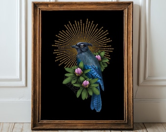 Steller's Jay Dark Academia Moody Art Bird Hag