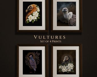 Vultures, set of four illustrations, Moody dark academia, bird Wall Art bird hag