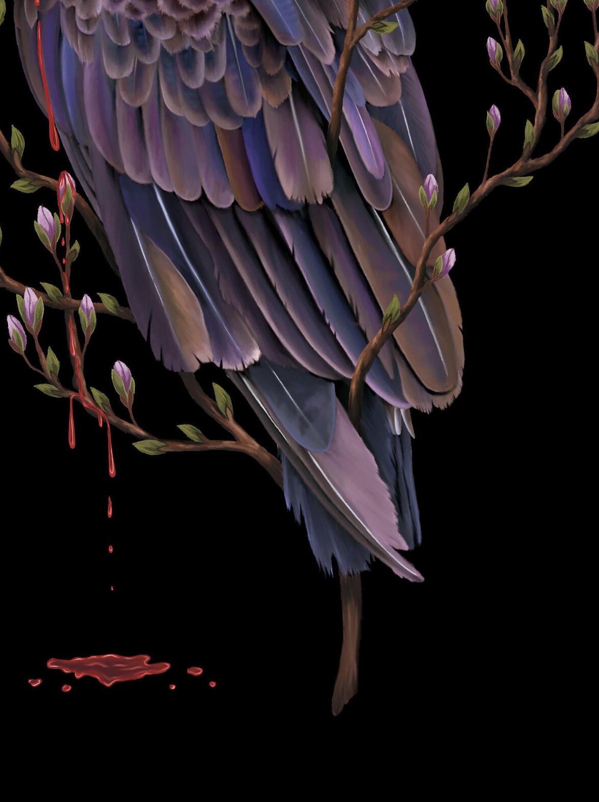 bird / 桜 - OTOTOY