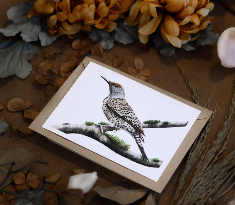 Northern Flicker Greeting Cards Blank Note Cards Woodpecker Bird Hag Etsy