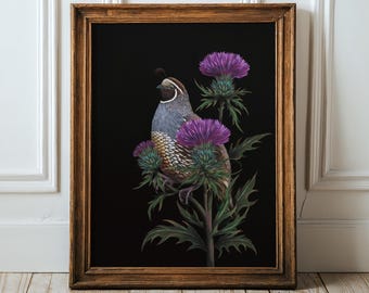 California Quail Print Milk Thistle Moody Art bird hag