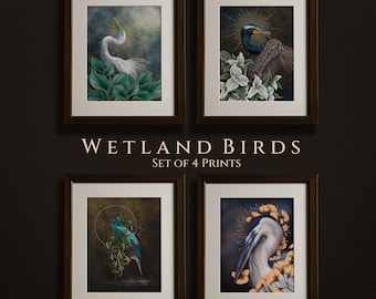 Wetland Birds, set of four illustrations, Moody dark academia, bird Wall Art bird hag