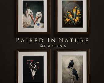 Bird Pair Sets, set of four illustrations, Moody dark academia, bird Wall Art bird hag