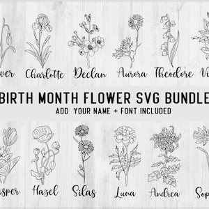 Geburtsmonat Blumen png svg, Geburtsblumen Name svg, Botanisches svg, Blumenstrauß svg, Geburtszeichen svg, Familienname Zeichen svg, Tattoo svg