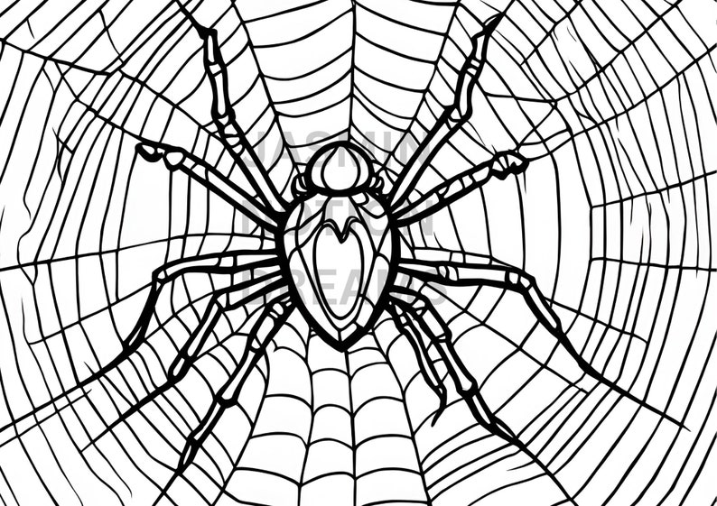 12 Cute Spider Coloring Pages Cute Spider Coloring Page Printable ...